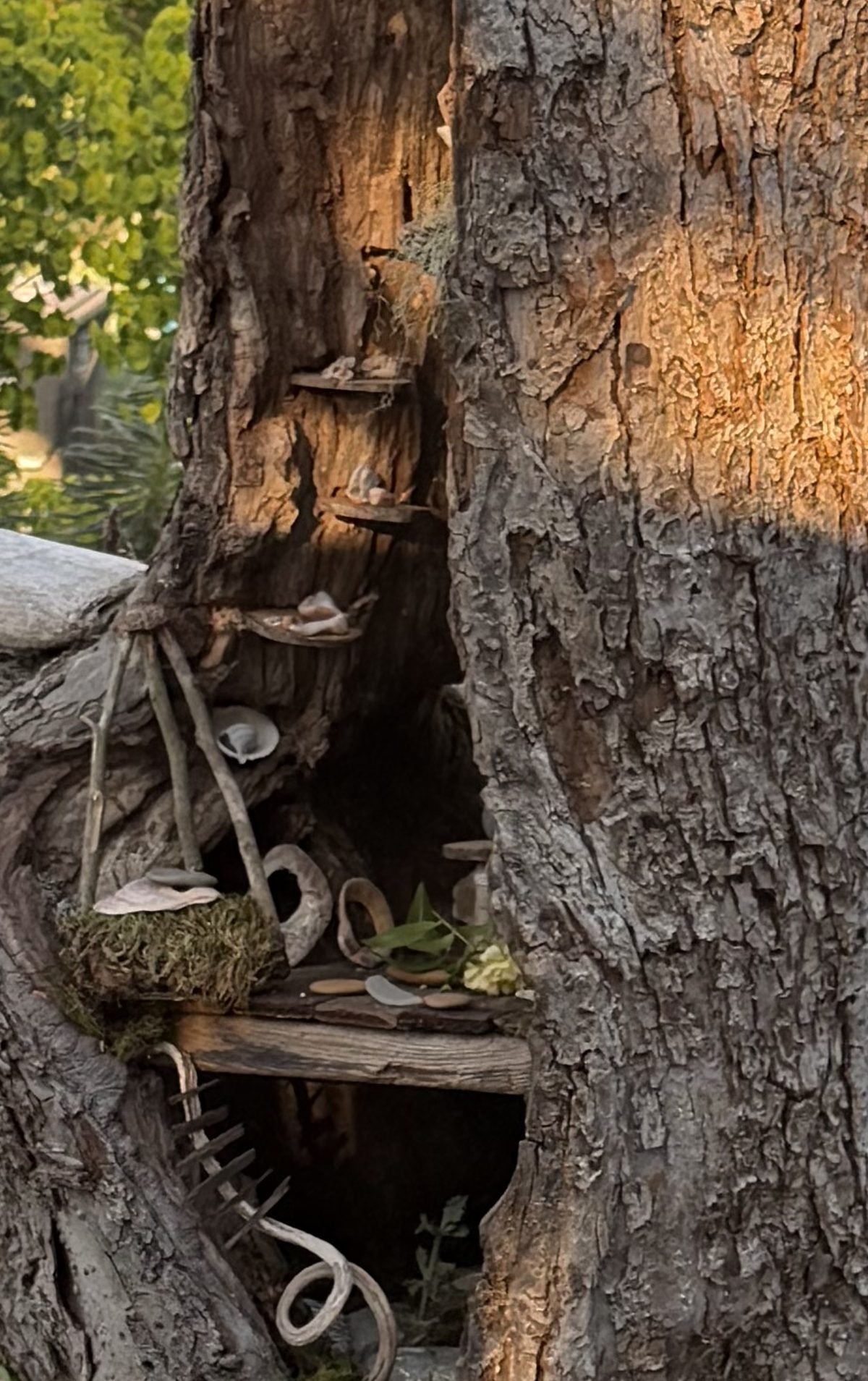 shelves, a mossy basket and a tiny ladder tucked into the tree